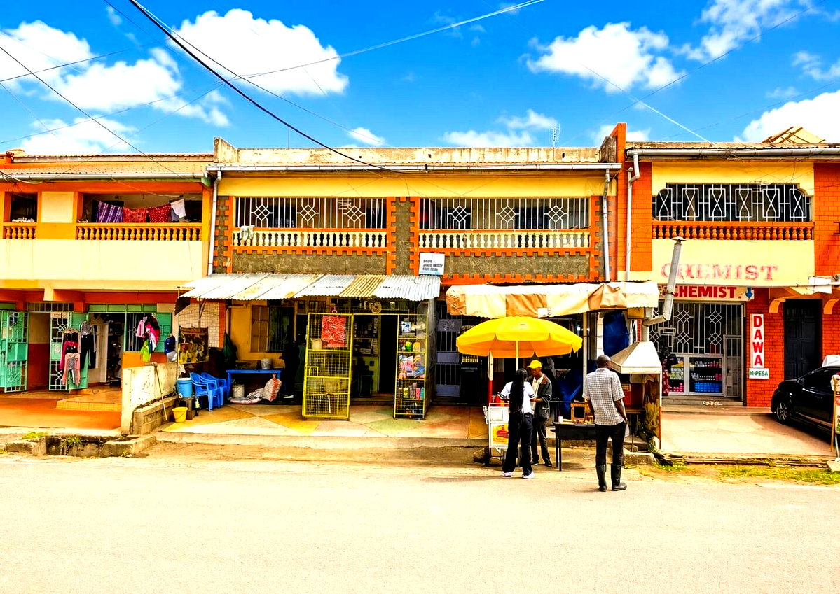 Mixed-Use Building with Steady Rental Income - Donholm
