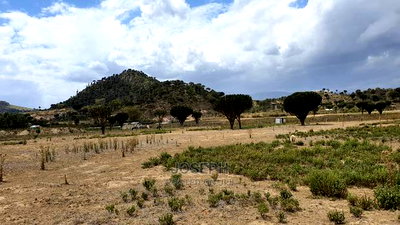 Naivasha Moi Ndabi Sero 22.9acres,Eletric Fenced - Image 3