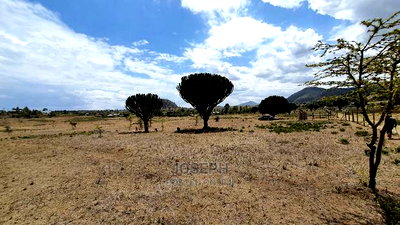 Naivasha Moi Ndabi Sero 22.9acres,Eletric Fenced - Image 13