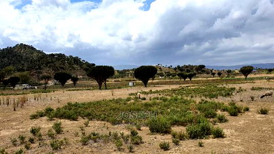 Naivasha Moi Ndabi Sero 22.9acres,Eletric Fenced - Image 4