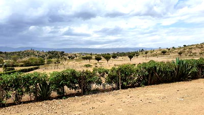 Naivasha Moi Ndabi Sero 22.9acres,Eletric Fenced - Image 9