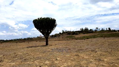 Naivasha Moi Ndabi Sero 22.9acres,Eletric Fenced - Image 8