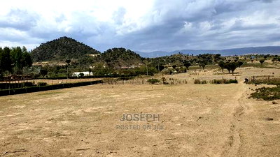 Naivasha Moi Ndabi Sero 22.9acres,Eletric Fenced - Image 20