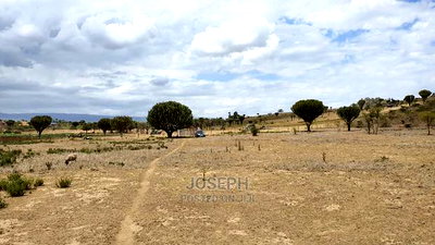 Naivasha Moi Ndabi Sero 22.9acres,Eletric Fenced - Image 16