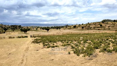 Naivasha Moi Ndabi Sero 22.9acres,Eletric Fenced - Image 15