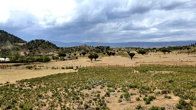 Naivasha Moi Ndabi Sero 22.9acres,Eletric Fenced - Image 11