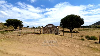 Naivasha Moi Ndabi Sero 22.9acres,Eletric Fenced - Image 17