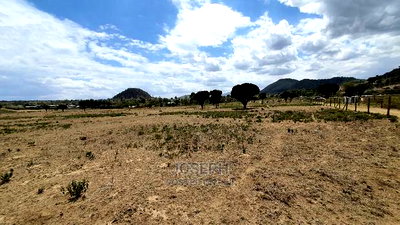 Naivasha Moi Ndabi Sero 22.9acres,Eletric Fenced - Image 7