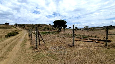 Naivasha Moi Ndabi Sero 22.9acres,Eletric Fenced - Image 2