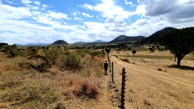 Naivasha Moi Ndabi Sero 22.9acres,Eletric Fenced - Image 10