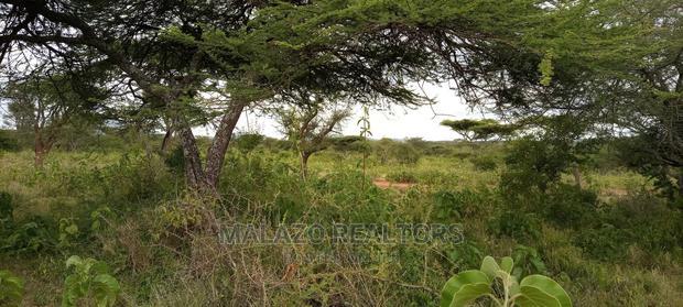 10 Acres of Beautiful Lush Land in Kajiado