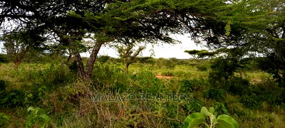 10 Acres of Beautiful Lush Land in Kajiado - Image 3