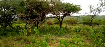 10 Acres of Beautiful Lush Land in Kajiado - Image 2
