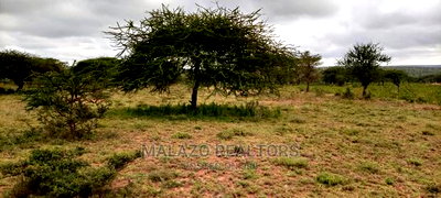 10 Acres of Beautiful Lush Land in Kajiado - Image 6