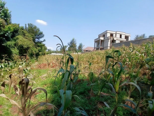 Quick Sale! Kerarapon, Karen 1/2 Acre Land-Gated Community
