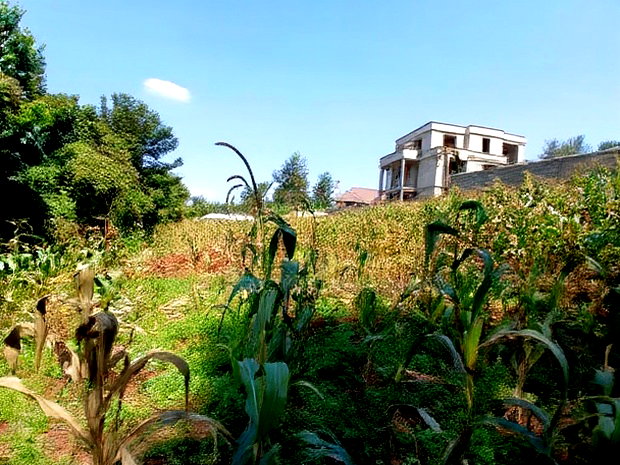 Quick Sale! Kerarapon, Karen 1/2 Acre Land-Gated Community