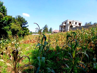 Quick Sale! Kerarapon, Karen 1/2 Acre Land-Gated Community - Image 2