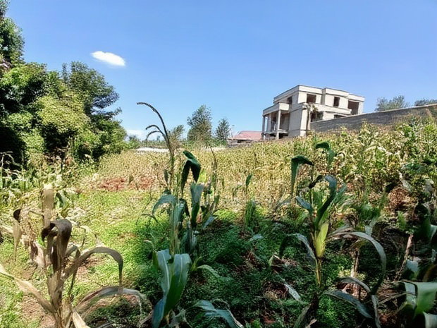 Quick Sale! Kerarapon, Karen 1/2 Acre Land-Gated Community