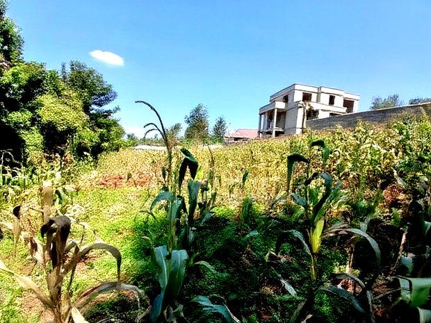 Quick Sale! Kerarapon, Karen 1/2 Acre Land-Gated Community