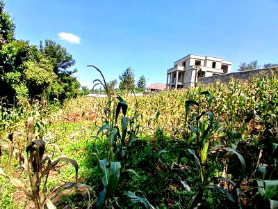 Quick Sale! Kerarapon, Karen 1/2 Acre Land-Gated Community - Image 1