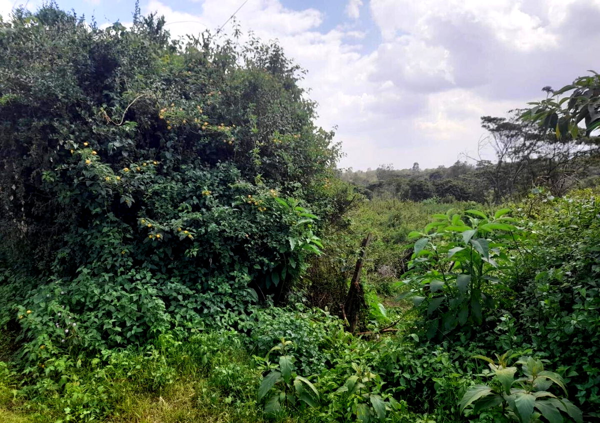5-Acre Karen Plot at KSh 60M