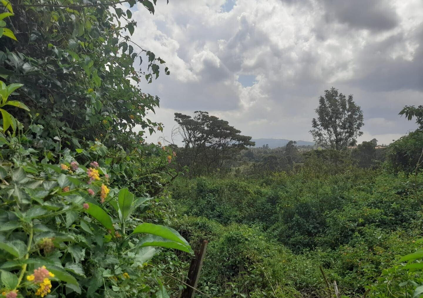 5-Acre Karen Plot at KSh 60M