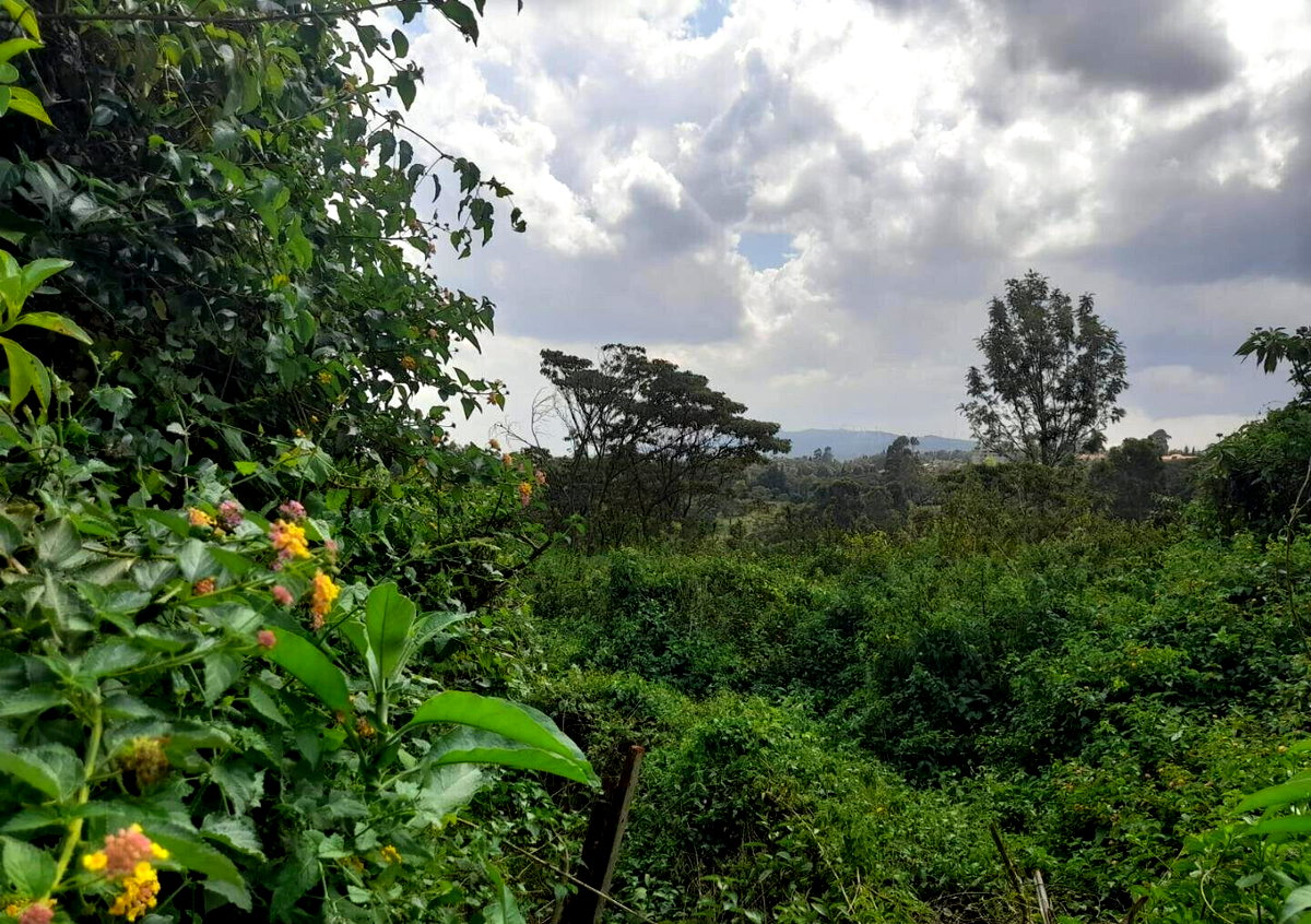 5-Acre Karen Plot at KSh 60M