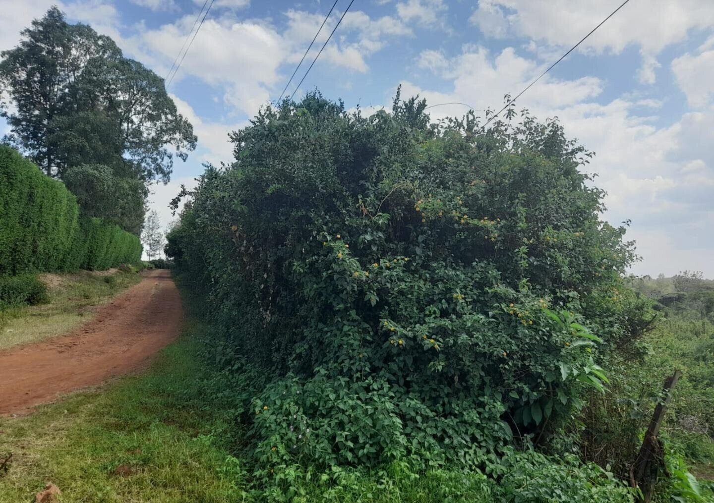 5-Acre Karen Plot at KSh 60M