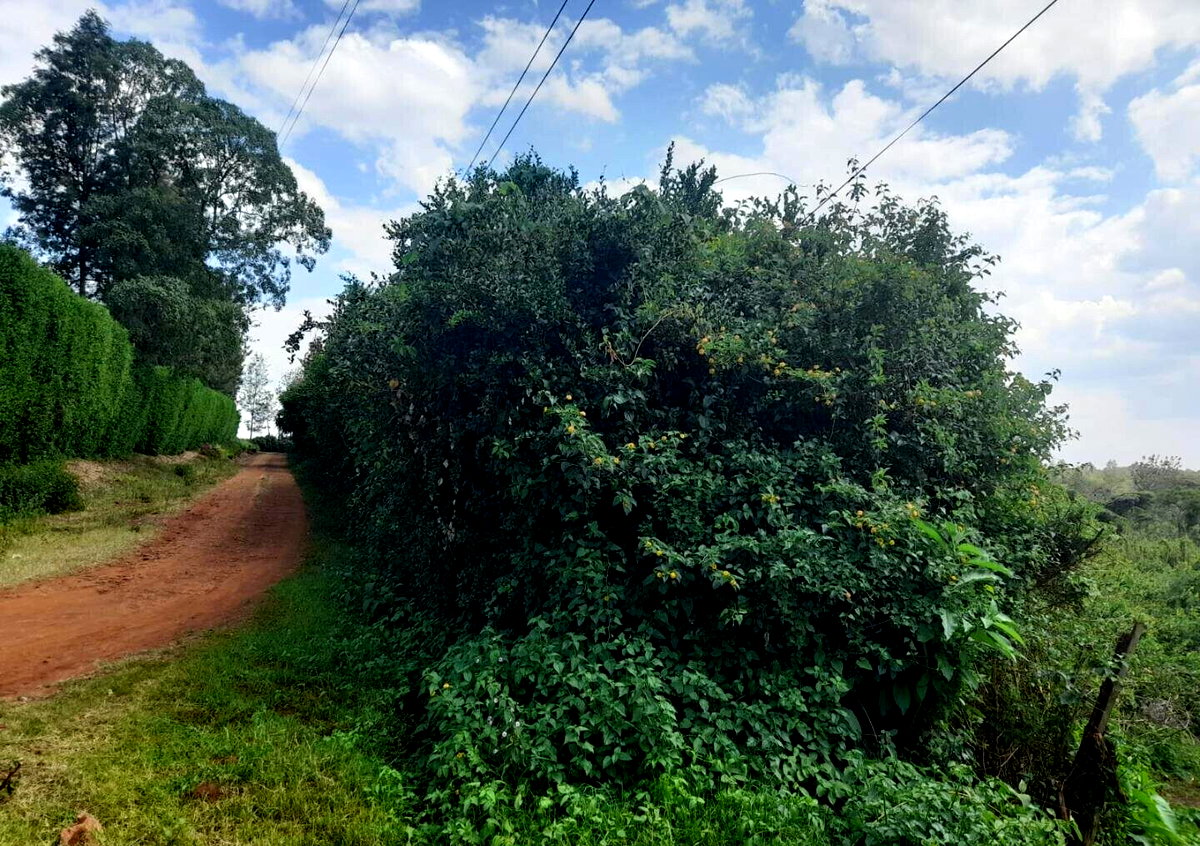 5-Acre Karen Plot at KSh 60M