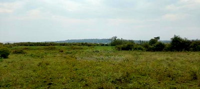 Nyamonye Ugambe Beach Front - Image 4