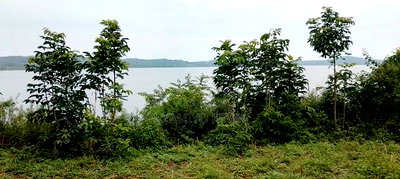 Nyamonye Ugambe Beach Front - Image 6