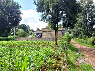 100by100 Plot for Sale in Gathiga Kiambu - Image 5