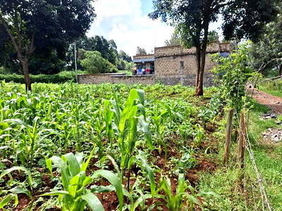 100by100 Plot for Sale in Gathiga Kiambu - Image 2