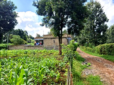 100by100 Plot for Sale in Gathiga Kiambu - Image 3