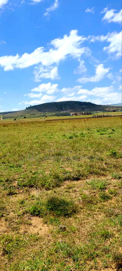 Prime 50 by 100 Plots in Naivasha, Mirera - Image 4
