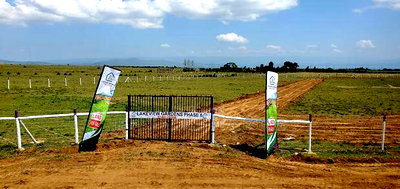 Prime 50 by 100 Plots in Naivasha, Mirera - Image 1