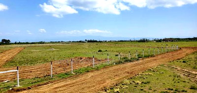 Prime 50 by 100 Plots in Naivasha, Mirera - Image 2
