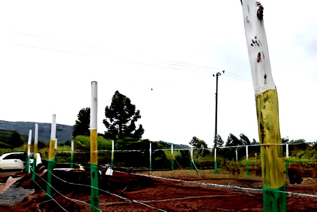 Affordable 50x100 Plots for Sale - Mbomboini Estate