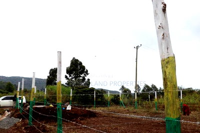 Affordable 50x100 Plots for Sale - Mbomboini Estate - Image 2