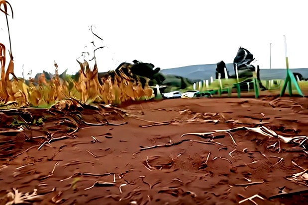 Affordable 50x100 Plots for Sale - Mbomboini Estate
