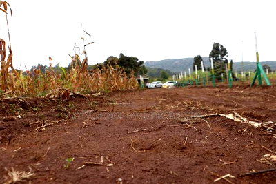 Affordable 50x100 Plots for Sale - Mbomboini Estate - Image 3