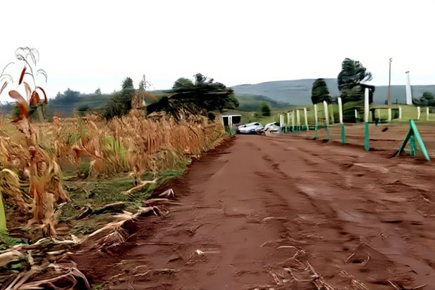 Affordable 50x100 Plots for Sale - Mbomboini Estate
