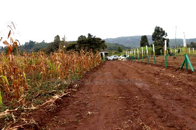 Affordable 50x100 Plots for Sale - Mbomboini Estate - Image 4