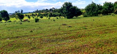 10 Acres for Sale in Chembulet Eldoret - Image 4