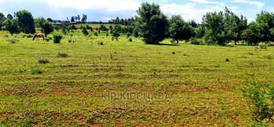10 Acres for Sale in Chembulet Eldoret - Image 3