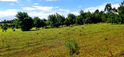 10 Acres for Sale in Chembulet Eldoret - Image 5