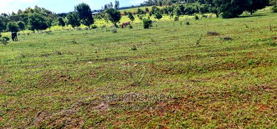 10 Acres for Sale in Chembulet Eldoret - Image 6