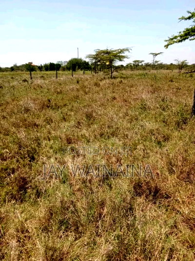 Land for Sale in Emakoko, Near Tuala, Ongata Rongai - Image 4