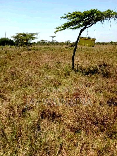 Land for Sale in Emakoko, Near Tuala, Ongata Rongai - Image 3