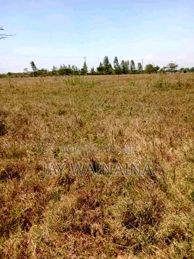Land for Sale in Emakoko, Near Tuala, Ongata Rongai - Image 7